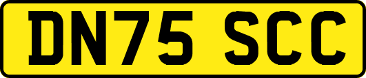 DN75SCC