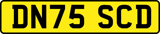DN75SCD