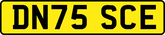 DN75SCE