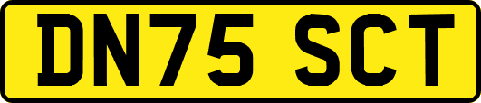 DN75SCT