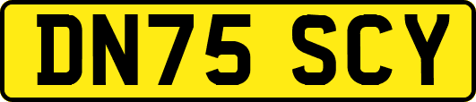 DN75SCY
