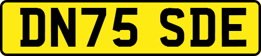DN75SDE