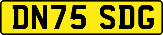 DN75SDG
