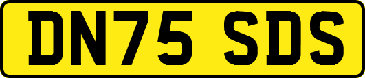 DN75SDS