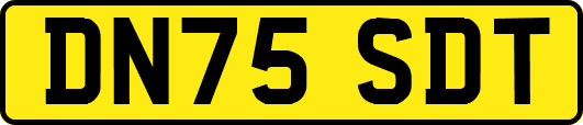 DN75SDT