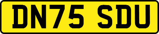 DN75SDU