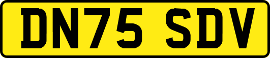 DN75SDV