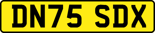 DN75SDX