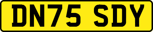 DN75SDY