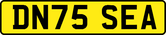 DN75SEA