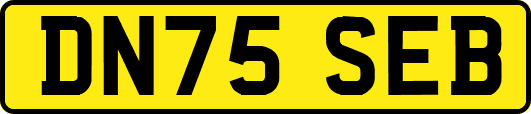 DN75SEB