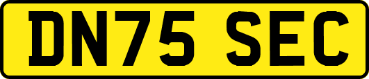 DN75SEC