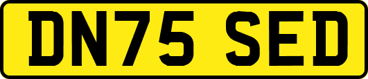 DN75SED