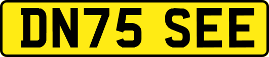 DN75SEE