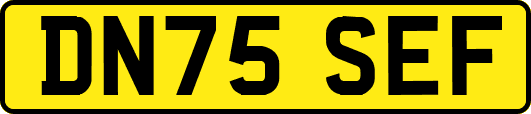 DN75SEF