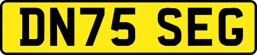 DN75SEG