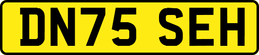 DN75SEH