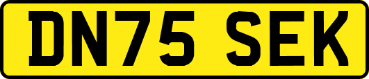DN75SEK