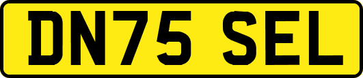 DN75SEL