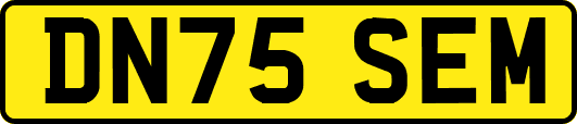DN75SEM