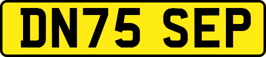 DN75SEP