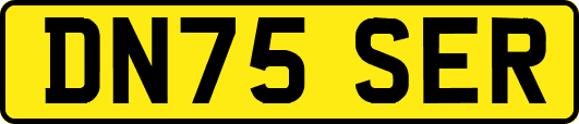DN75SER