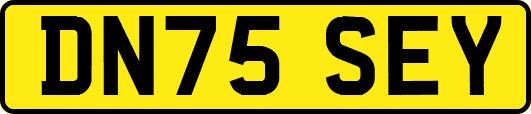 DN75SEY