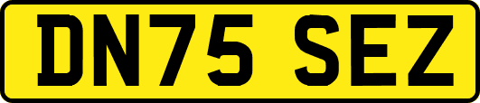 DN75SEZ