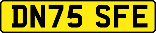 DN75SFE
