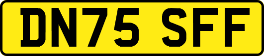 DN75SFF