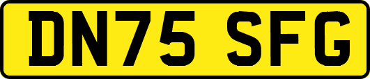 DN75SFG