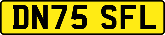DN75SFL