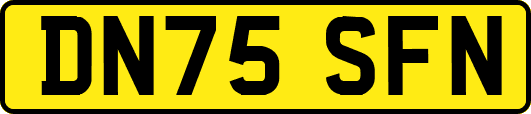 DN75SFN