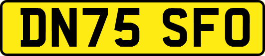 DN75SFO