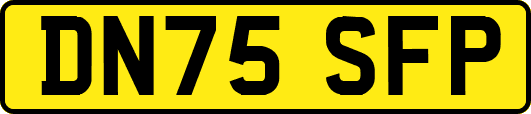 DN75SFP