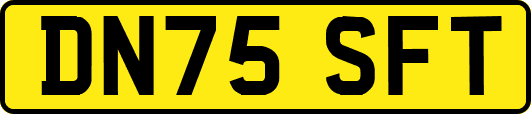 DN75SFT