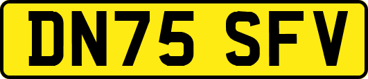 DN75SFV