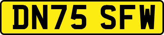 DN75SFW