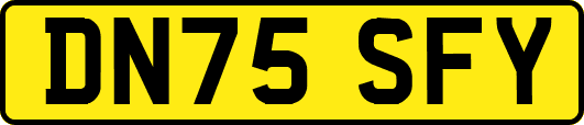 DN75SFY