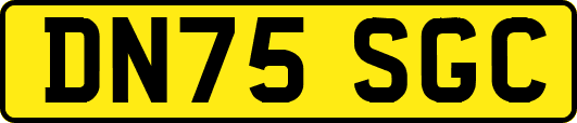 DN75SGC