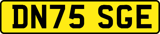 DN75SGE