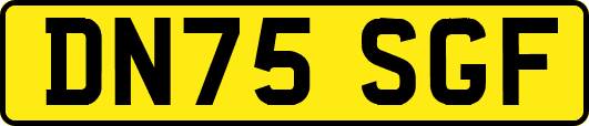 DN75SGF