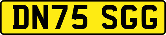 DN75SGG