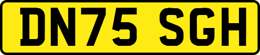DN75SGH
