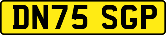 DN75SGP
