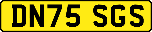 DN75SGS