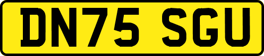 DN75SGU