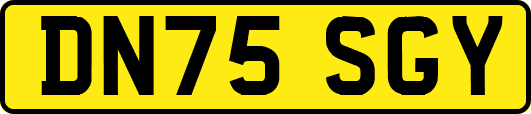 DN75SGY