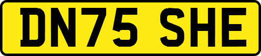 DN75SHE