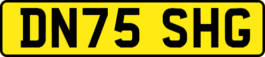DN75SHG